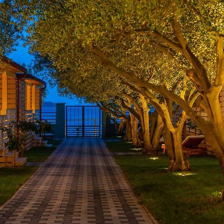 فندق Camp Bepo باكوشتاني المظهر الخارجي الصورة
