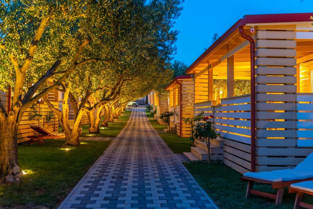 فندق Camp Bepo باكوشتاني المظهر الخارجي الصورة